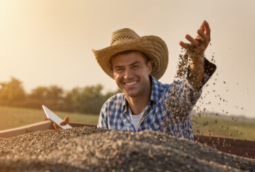 This African company is producing cashew nuts sustainably. Here’s how