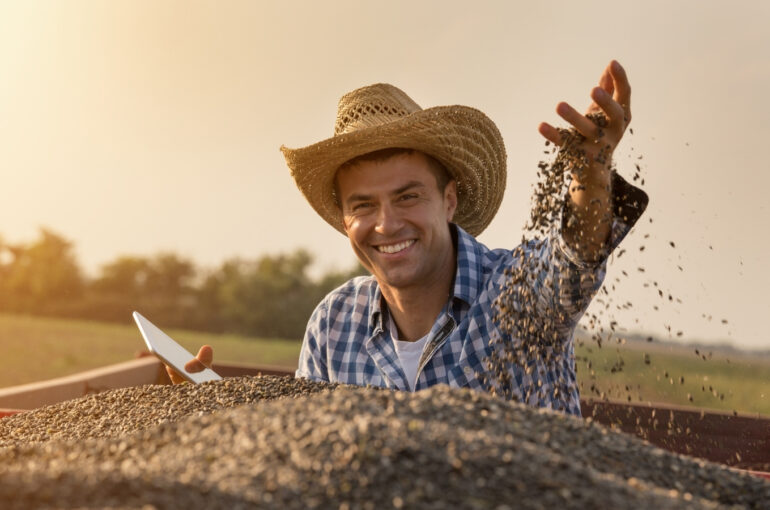 This African company is producing cashew nuts sustainably. Here’s how